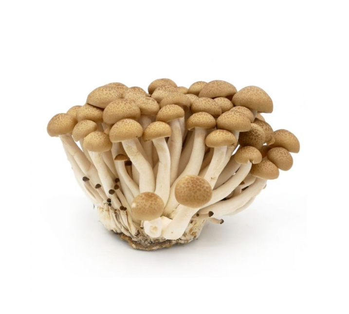 Fresh Shimeji Mushroom- Brown  150g