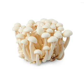Shimeji Mushroom - White 150g 白玉菇