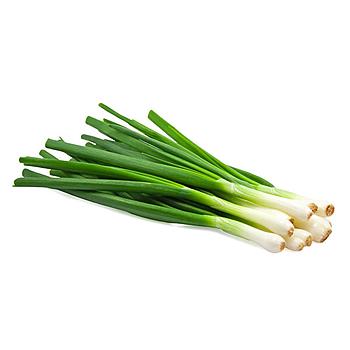 Fresh Spring Onions/Scallion 1 bunch
