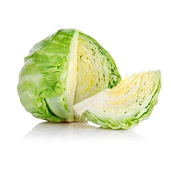Fresh White Cabbage 1pcs